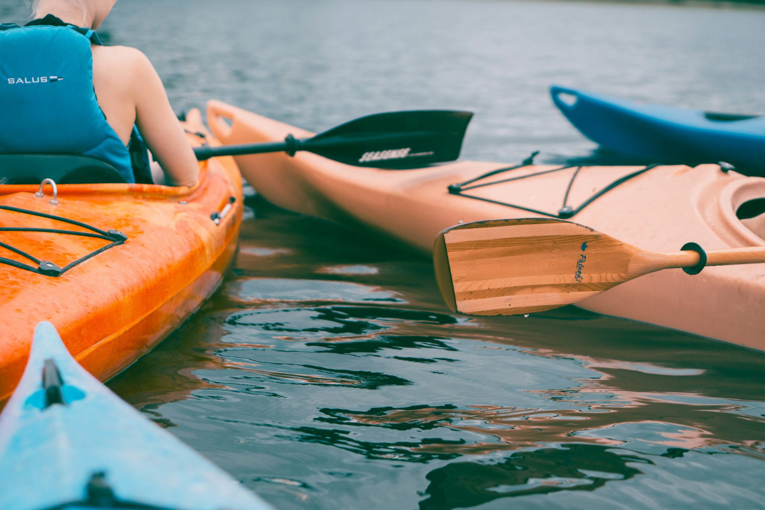 rebschule_mood_bootstour